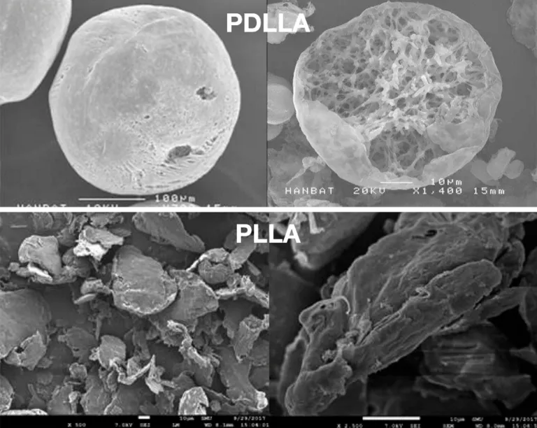 Biostimulanty